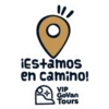 VIP Go Vans Tours 12