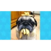 Dumb Dogs 9