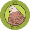 Dviki is sad דביקי מוריד 29