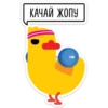 Duck attack stickers 24