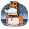 Duck Hunt 11