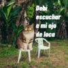 🌴 DtMF frases 🪑 Bad Bunny 🐰 6