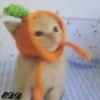 3🐈Meowcitos 🐱 5
