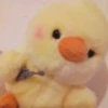 Duck or not 8