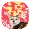 Catshostel CNY 2025 6