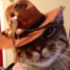 3🐈Meowcitos 🐱 6