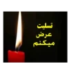 Black days 7