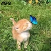 3🐈Meowcitos 🐱 7
