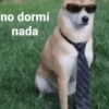 Memes Pal Grupo🤡 7