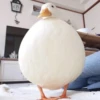 Duck or not 10