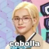 Cebolla