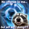 No offense to me... @nocturnaltrashposts but wtf am I doing??