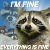 I'M FINE @nocturnal trashposis EVERYTHING IS FINE