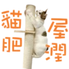 Catshostel CNY 2025 7