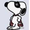 🦴 Snoopy y sus amigos 🏠❤️ 8