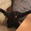 Em vez de mil palavras 9