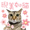 現