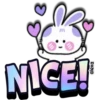 Lovely rabbit 🐇🥕 7
