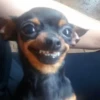 Em vez de mil palavras 11