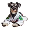 Dog(gi) 6