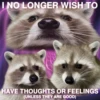 I NO LONGER WISH TO @nocturnaltrashposts HAVE THOUGHTS OR FEELINGS (UNLESS THEY ARE GOOD)