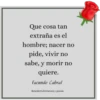 BENEDETTI, POESÍA 🇪🇨 1 12