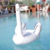 Duck or not 15