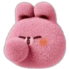 🥕 RaBbIt DaIlY EmOjI 🥕 11
