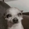 Martes casi viernes (no puedo más con la semana)