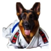 Dog(gi) 7