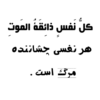 Black days 11