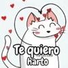 Flork michi gato pal'chat 🧦🐱 5