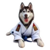 Dog(gi) 8