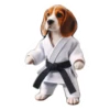 Dog(gi) 9