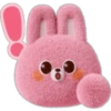 🥕 RaBbIt DaIlY EmOjI 🥕 14