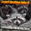 i can't fucking take it @nocturnaltrashposts seriously i'm at my limit