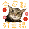 全家都 好幸福