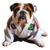 Dog(gi) 10