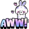 Lovely rabbit 🐇🥕 12