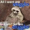 All I want are snuggles village but all I get are struggles