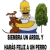 MEMESILLOS 4 CLÁSICA 17