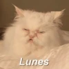 Lunes