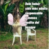 🌴 DtMF frases 🪑 Bad Bunny 🐰 11
