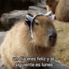 un día eres feliz y al siguiente es lunes