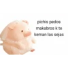 Perdonenmen a todos no acepto🐖 11