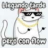 Flork michi gato pal'chat 🧦🐱 7