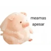 Perdonenmen a todos no acepto🐖 12