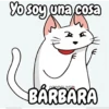 Flork michi gato pal'chat 🧦🐱 8
