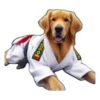 Dog(gi) 13