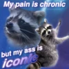 My pain is chronic @nocturnaltrashposts but my ass is iconic